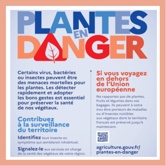 Signalement des plantes en danger sur Agriculture.gouv.fr/plantes-en-danger 