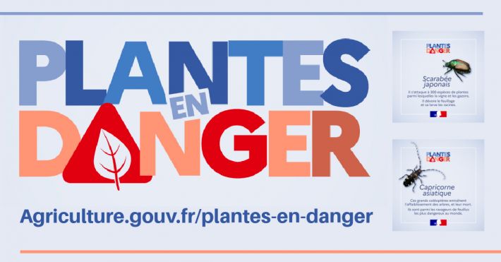 Agriculture.gouv.fr/plantes-en-danger - Identifier et signaler les plantes en danger