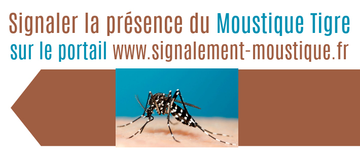 www.signalement-moustique.fr - Site pour signaler présence moustique tigre